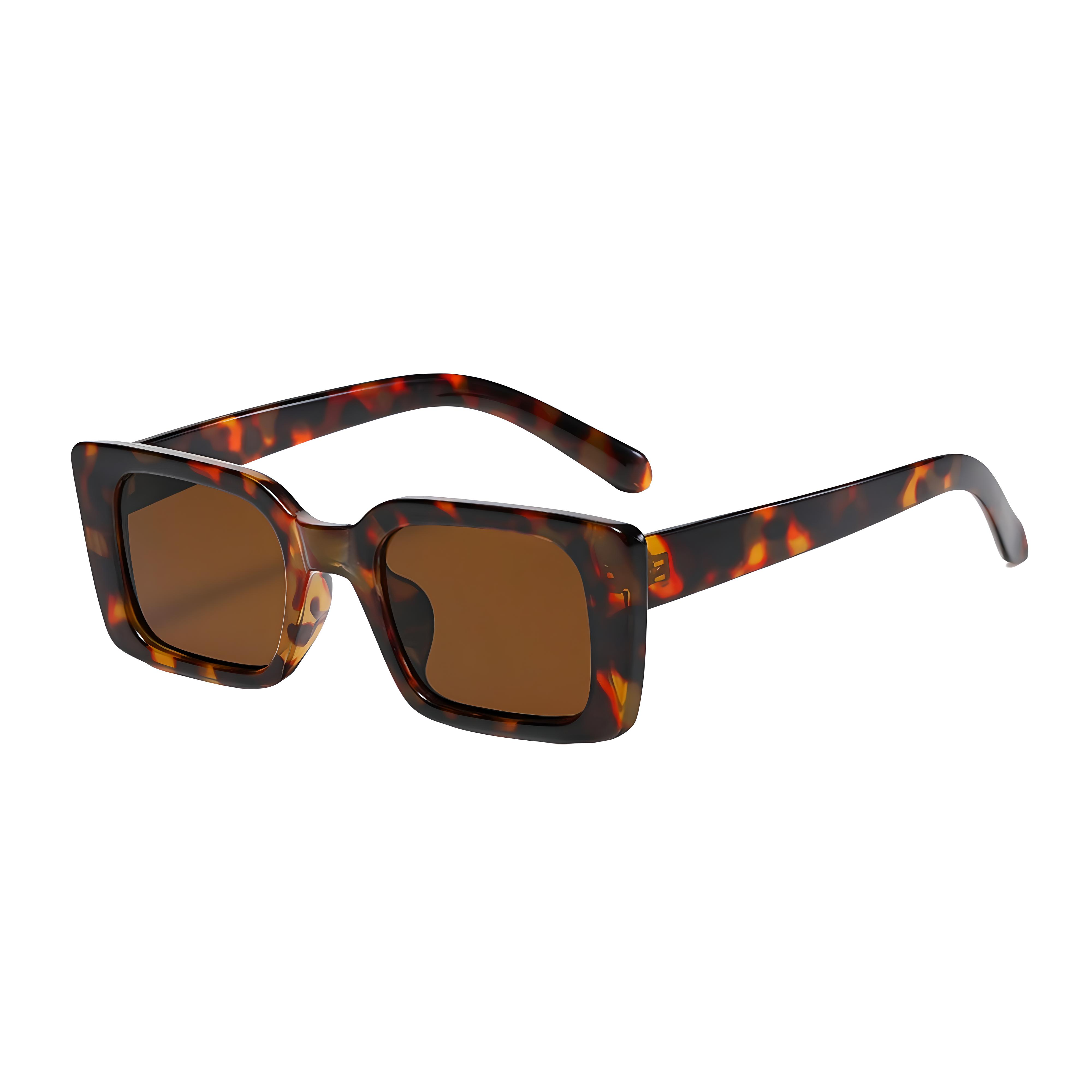 PAIGE TORTOISE